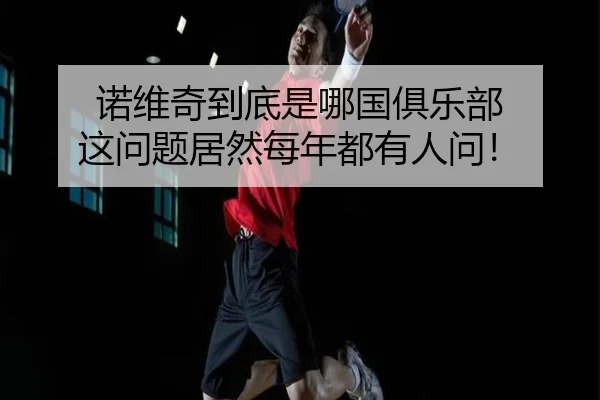 诺维奇到底是哪国俱乐部 这问题居然每年都有人问！