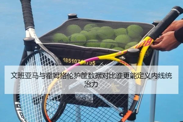 文班亚马与霍姆格伦护筐数据对比谁更能定义内线统治力