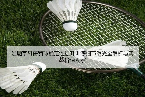雄鹿字母哥罚球稳定性提升训练细节曝光全解析与实战价值观察